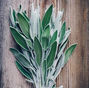 [DEMO PRODUCT] Organic sage tea, sliced organic sage leaves