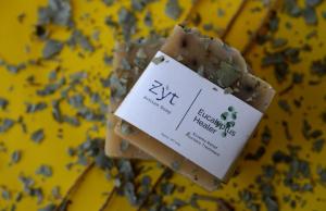 Eucalyptus Healer